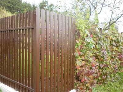 Металлический штакетник – забор в саду у деда директора
